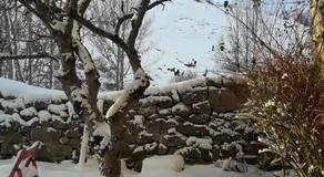 Posada Real El Rincon De Babia - Image 2