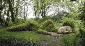 The Snuggery - Image 2
