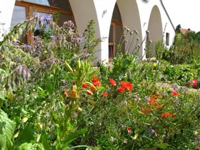 Gastehaus Am Wangeliner Garten - Image 4