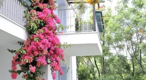 Satsuma Suites - Image 3