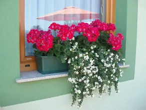 Motel Divjak - Image 2