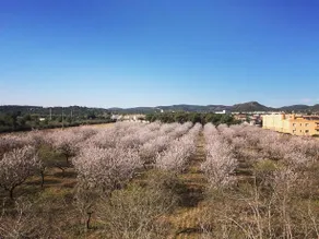 Camping La Plana - Image 3