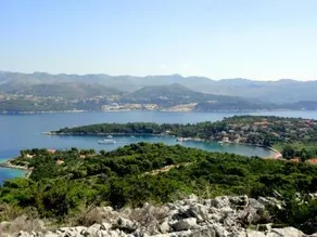 Apartments Tereza - Image 4