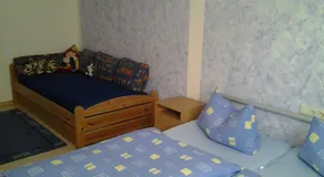 Ferienwohnung Dettweiler - Image 5