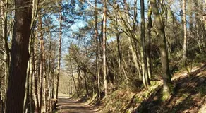 EifelverWeiler - Image 3