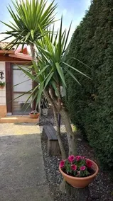 Villetta Casa Sesto - Image 2