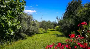 Ecohouse Oliveglia - Image 3