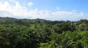 Villa Coconut - Image 5