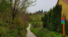 FairyGarden + Tale House / TuenderKert + MeseHaziko - Image 4