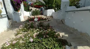 Mily - Image 3