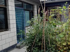 Caidouxuan Farmhouse - Image 2
