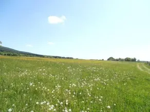 Gaisthaler-Hof - Image 5