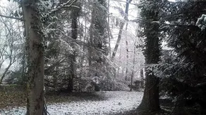 Domaine Pastel - Image 5