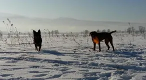 Domki Śnieżka - Image 2