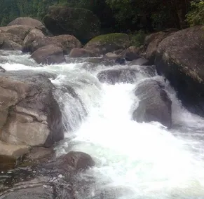 Green Mount Resorts - Image 2
