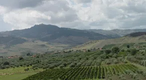 La Casa Sui Nebrodi - Image 4