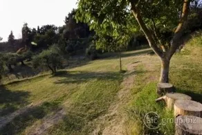 Borgo degli Alpaca - Image 2