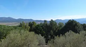 Campo La Carena - Image 5
