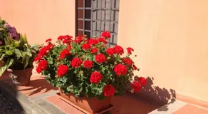 Podere Villabassa - Image 3