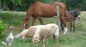 Les Gravets - Image 3