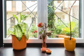 Cheery Flat - Image 4