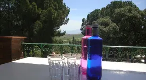 Finca Caicunes - Image 2