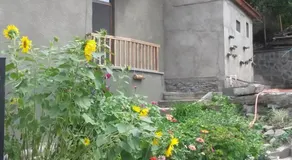 Villa "Borjomi" - Image 2