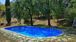 Villa Ulivacci - Image 4