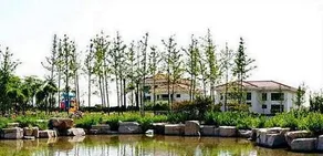 Chenming International Hotel - Image 3