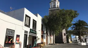 Casa Panama,in der Finca Mimosa - Image 2