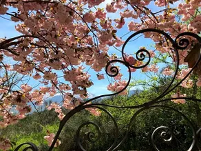 Luci Sui Monti - Image 2