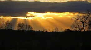 Lacewing Lodge - Image 4