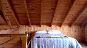 Albaricoque - Image 3