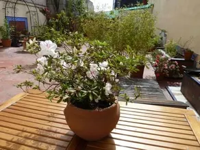 Via Arriba B&B - Image 3