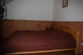 ALėJOS ĄžUOLAS - Image 3