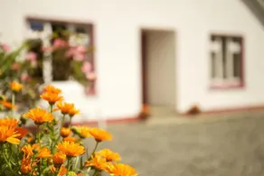 Teach Failte - Image 2