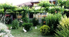 Guesthouse Planinsko Gnezdo - Image 2