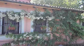 La casa delle rose - Image 5
