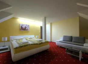 Vila Jiřinka - Image 4