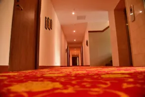 Thechi hotels Pvt ltd - Image 1