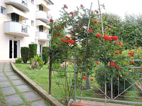Hotel Il Pino - Image 3