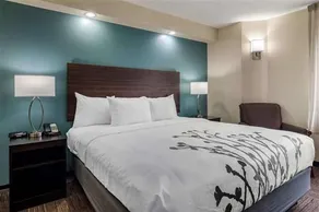 Sleep Inn - Image 4