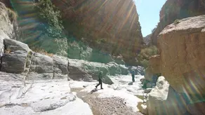 Los Bellidos De Alcandora - Image 5