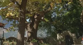 Mountain Villa - Image 3