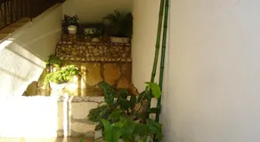 Esmeralda Santo Domingo - Image 2