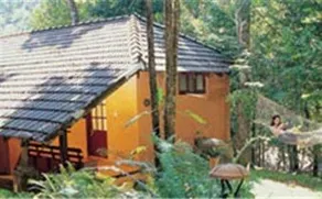 Vythiri Danish Resort - Image 1