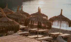 Pilos Deluxe - Image 3