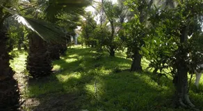 Casa Pilila, Alojamientos El Rompido - Image 4