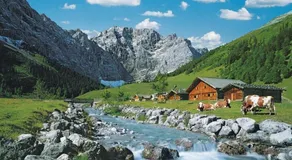 Waldhüttale - Image 4