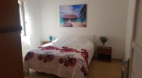 Alga marina - Image 4